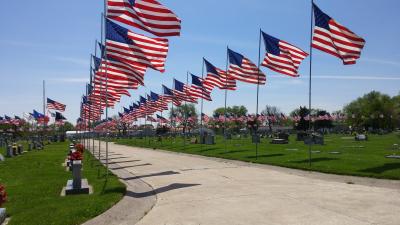 Ave of Flags 12
